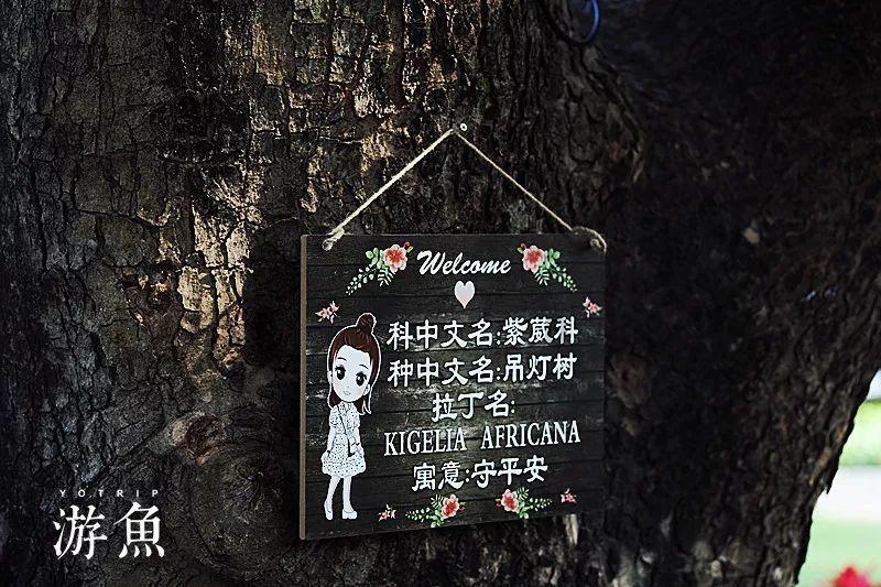 交个朋友？高尔夫GTE官图公布，272匹马力，插电混动车型